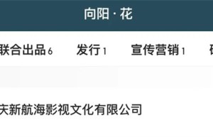 舒淇、黄晓明自领薪酬？揭秘明星薪酬内幕