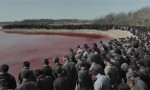 《南京照相馆》阿里网盘迅雷资源（BD1080P/3.8G-MP4）完整/加长版国语中字