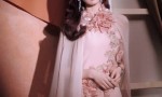 刘诗诗粉裙如花，娇美动人