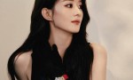 赵丽颖着鱼尾裙散发迷人风采