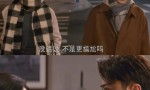 《他为什么依然单身》今日首播！腾讯独播，霍建华、朱珠领衔主演