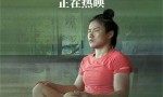 《永无止境》国语中字网盘完整版（BD1280P/3.3G-MKV）迅雷BT资源