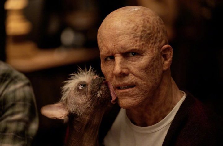 《死侍3》发布全新静止影像：两位主角小贱贱和死侍狗首次亮相