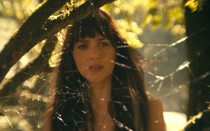 多位女性超级英雄亮相，《蜘蛛女：超感觉醒》预告片震撼发布