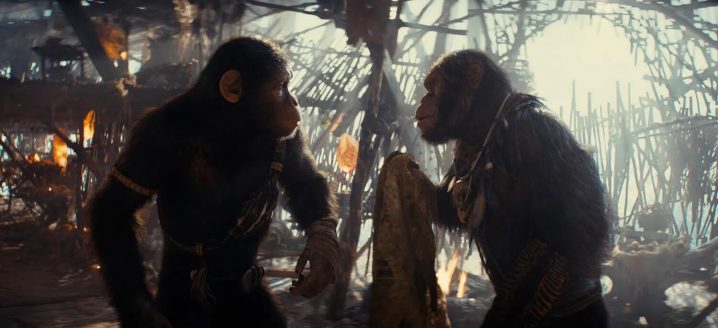 《猩球崛起4：新世界》剧照曝光，人猿探索未知之路