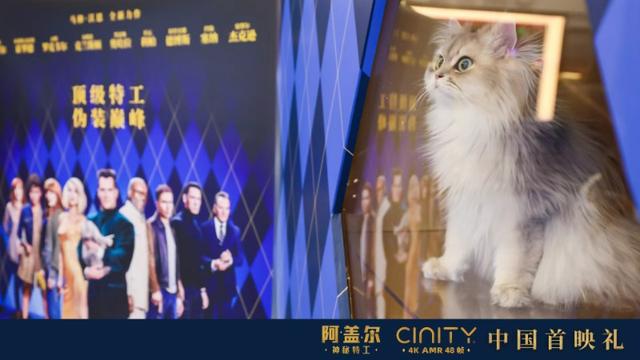 CINITY 48帧电影《阿盖尔：神秘特工》中国首映礼盛大举行