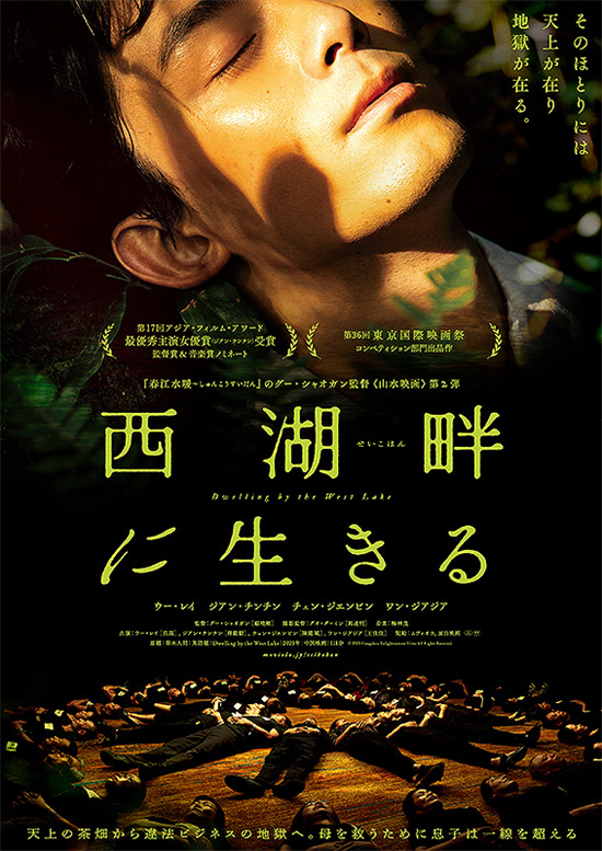 吴磊和蒋勤勤主演的电影《草木人间》发布日本版海报，日本将于9月27日上映-1