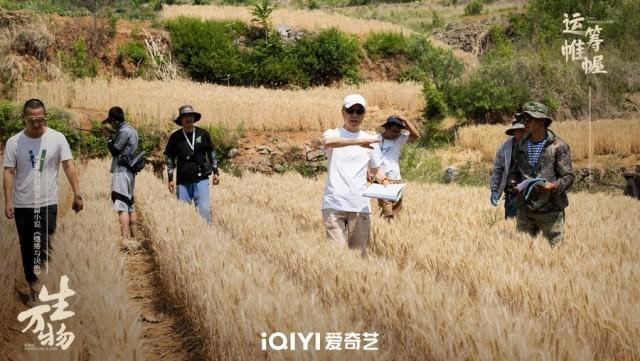 电视剧《生万物》杨幂、欧豪领衔主演，杀青报道-1