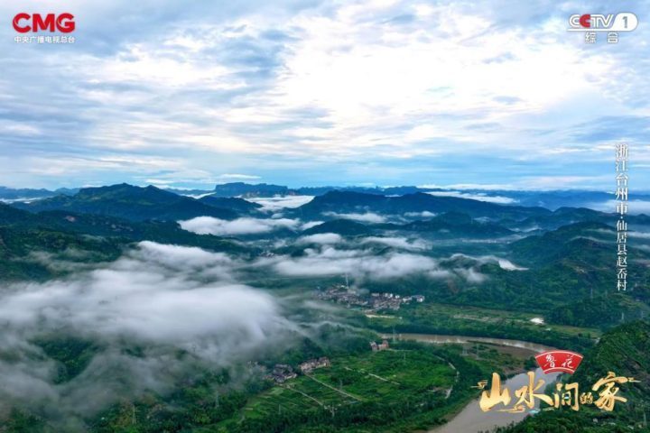 《山水间的家》：夜摘杨梅星光伴，昼采脆李甜心间，果树下的诗意生活-2