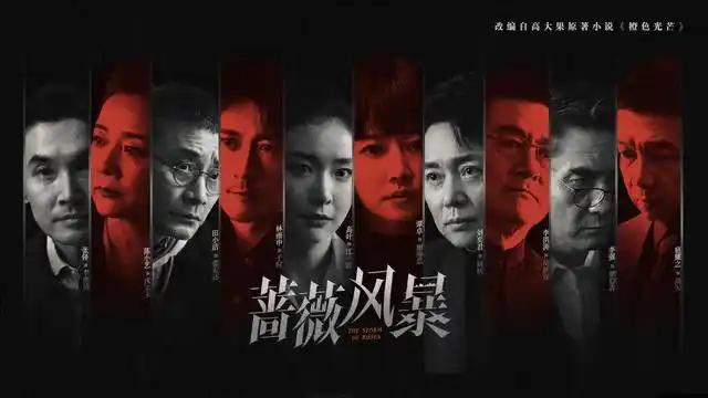 《蔷薇风暴》国语中字网盘迅雷BT资源【BD1080P/3.8G-MP4】加长版-1