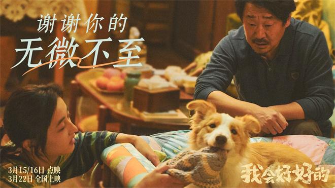 张子枫《我会好好的》新预告：小狗视角下的温情陪伴-3