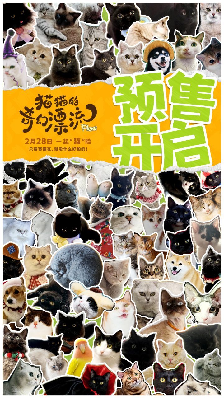 《猫猫的奇幻漂流》国语中字TC版迅雷BT资源【BD720P/3.9G-MP4】网盘-2