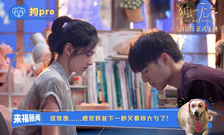 《独一无二》百度网盘【BD720P/3.9G-MKV】高清版国语中字资源在线观看-2
