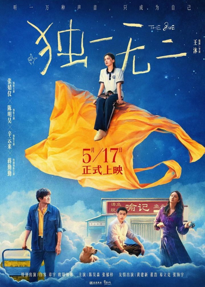 《独一无二》阿里云迅雷资源下载正版高清【HD1080P/3.3G-MP4】国语版-2