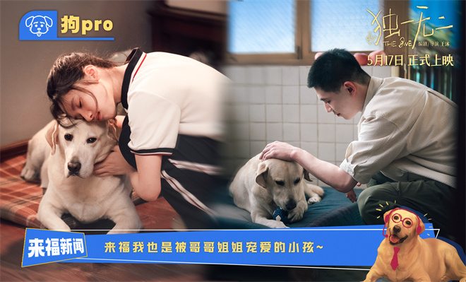 张婧仪与辛云来：《独一无二》特辑里的甜蜜时刻-1