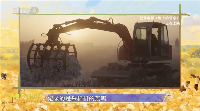 《地上的云朵》:新疆棉田里的“云絮”坠落-2 《地上的云朵》:新疆棉田里的“云絮”坠落-2