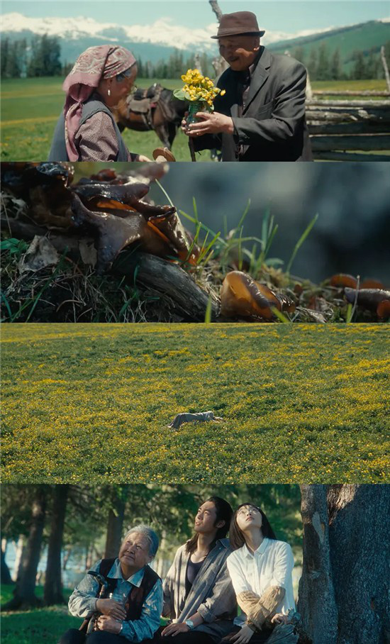 《地上的云朵》:新疆棉田里的“云絮”坠落-1 《地上的云朵》:新疆棉田里的“云絮”坠落-1