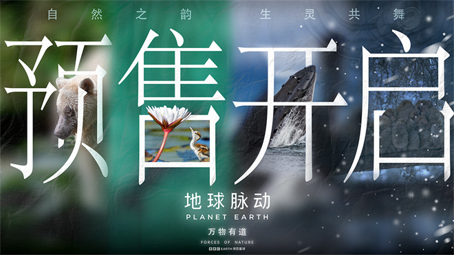 汉斯·季默倾情配乐《地球脉动：万物有道》9月12日上映-2