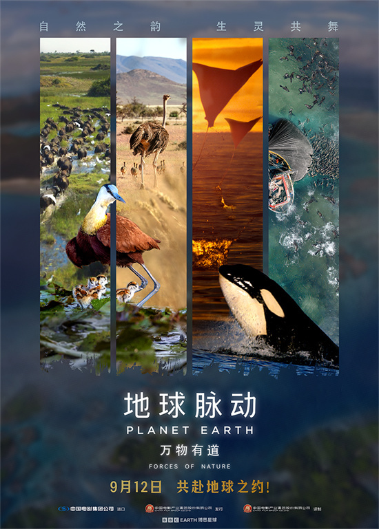 汉斯·季默倾情配乐《地球脉动：万物有道》9月12日上映-1