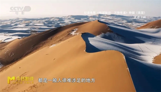 探索《地球脉动:万物有道》揭秘地球之美-3 探索《地球脉动:万物有道》揭秘地球之美-3