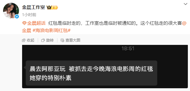 金晨红毯简约风:阿那亚急召所致-2 金晨红毯简约风:阿那亚急召所致-2