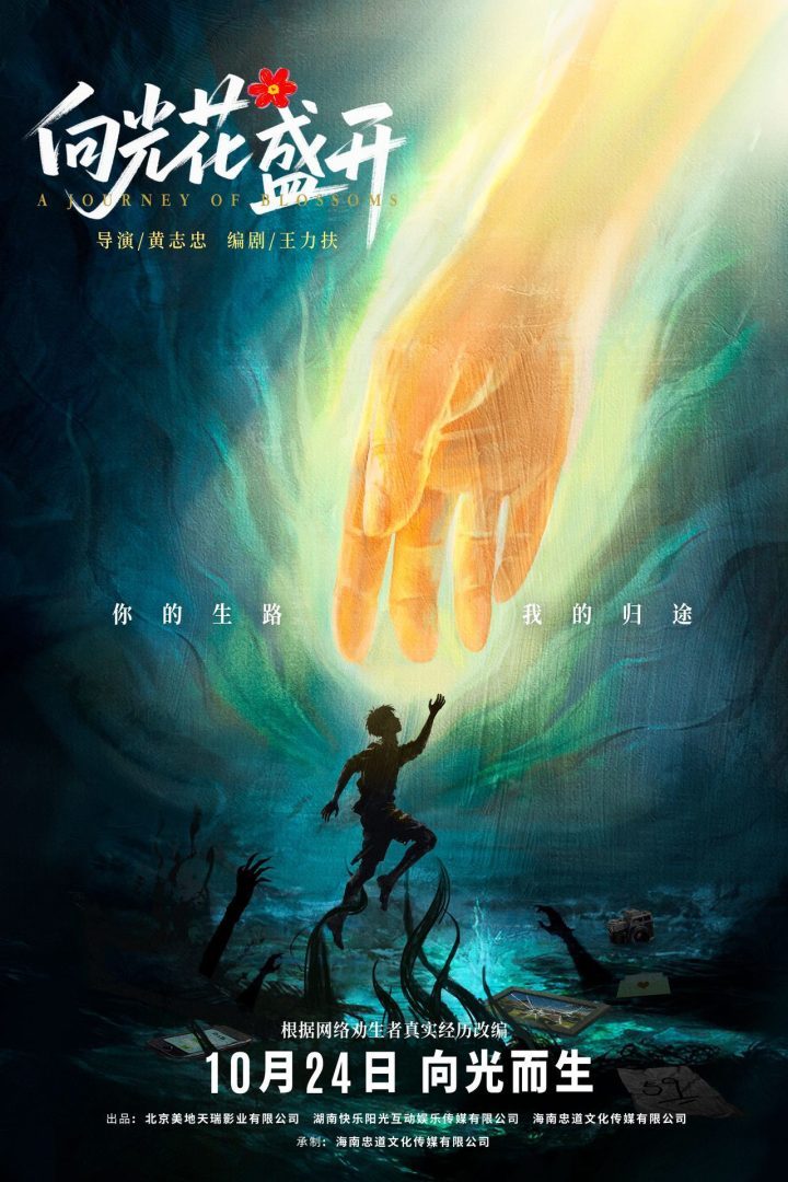 《向光花盛开》10月24日上映：青春成长与治愈的力量-1