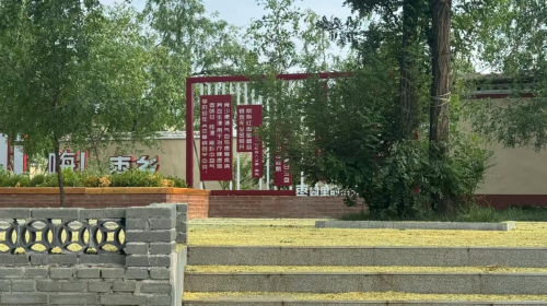 《一棵枣树》:吕文铮执导,山东聊城乡村振兴电影筹拍中-1 《一棵枣树》:吕文铮执导,山东聊城乡村振兴电影筹拍中-1