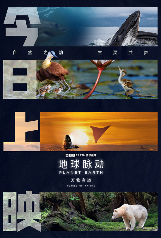 《地球脉动：万物有道》预告 回归自然之旅-1