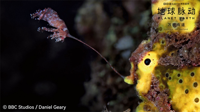 《地球脉动：万物有道》预告 回归自然之旅-3