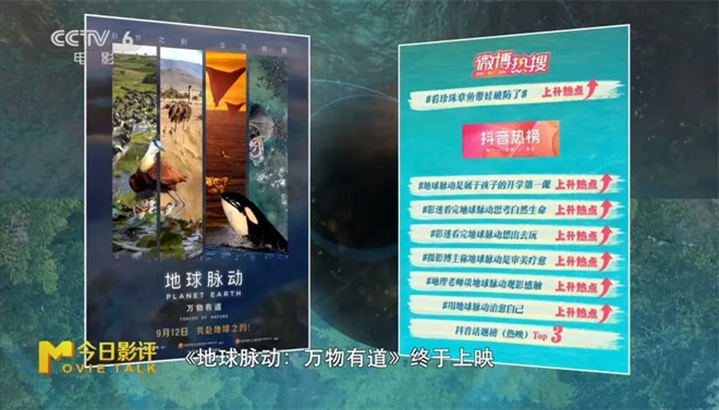 《地球脉动：万物有道》——探索地球之美-1