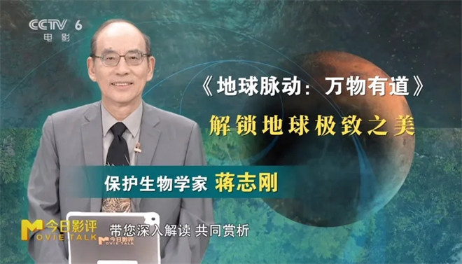 《地球脉动：万物有道》：探索地球绝美奇观-2