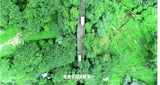 国庆档电影之旅：2025年流量之最-3